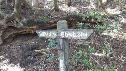 2-8-2