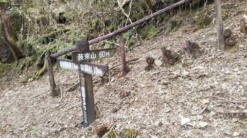 2-13-2 帰りに登ろうと思っていたが気力も体力も残っていなかった