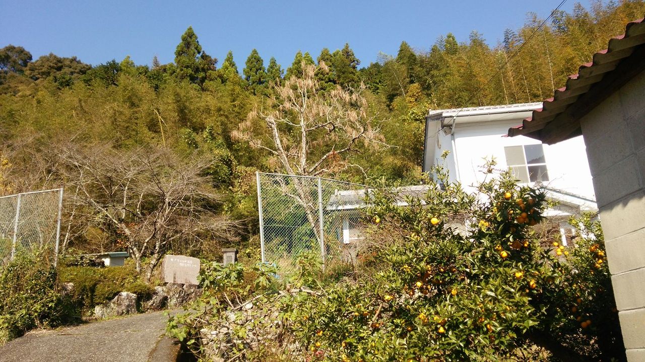 イメージ 4