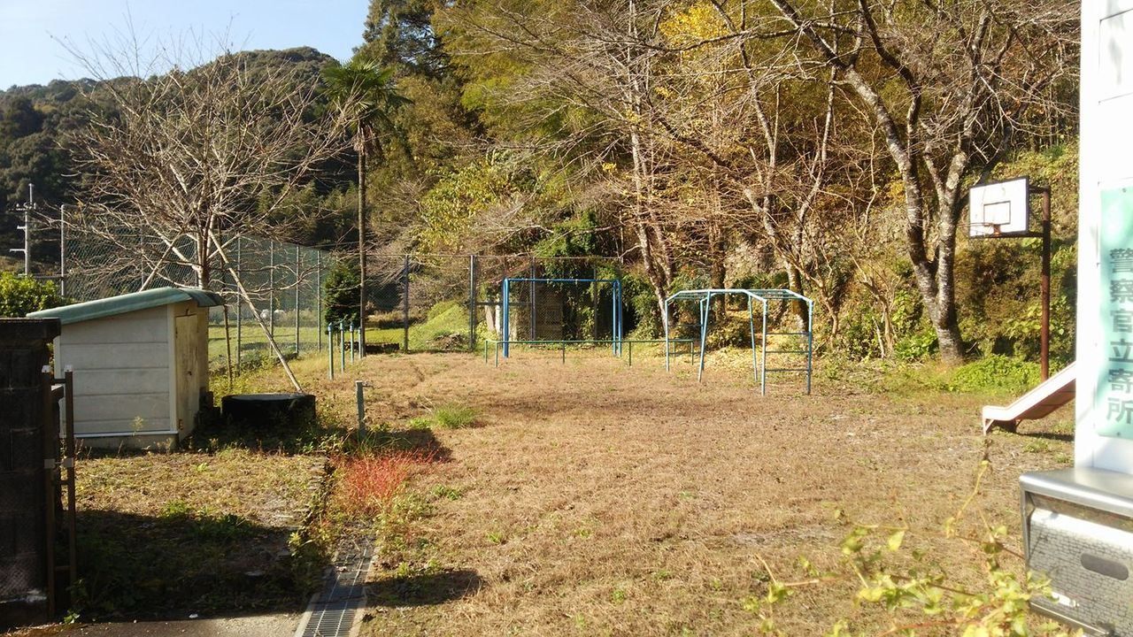 イメージ 9