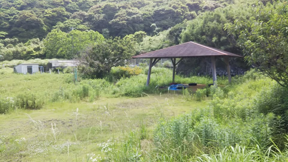 イメージ 6