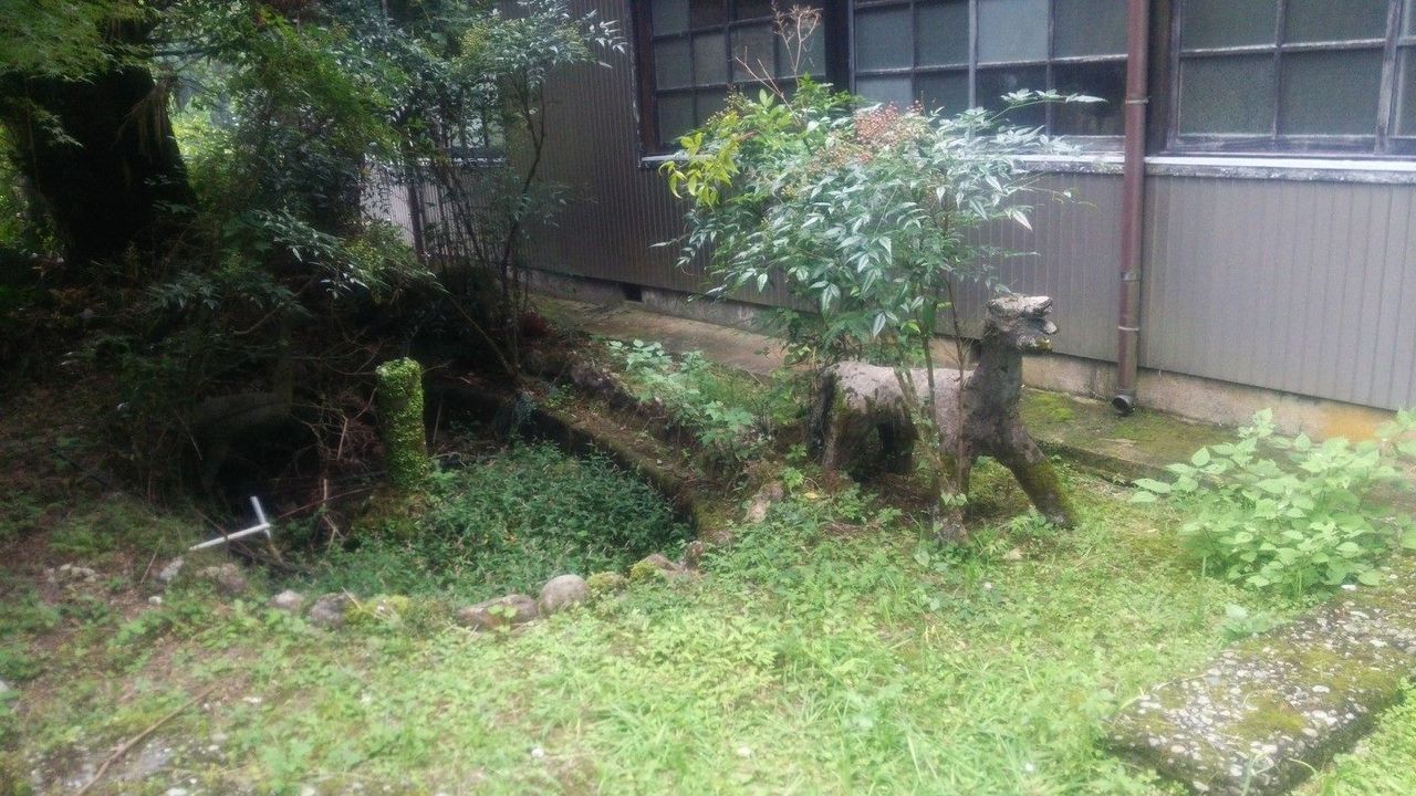 イメージ 14
