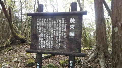 2-13-3