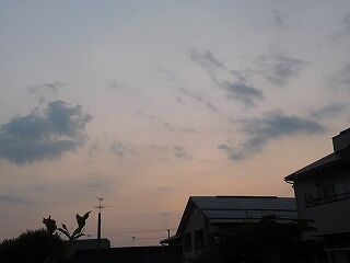 DSCN9434