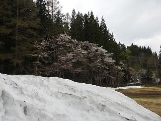 DSCN1206