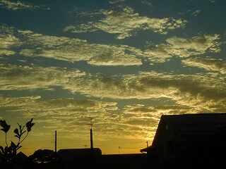 DSCN1294