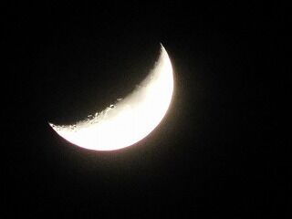 DSCN0294