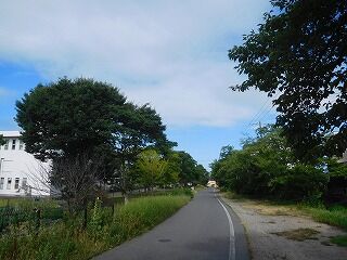 DSCN9709
