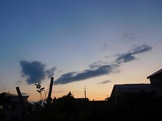 DSCN9793