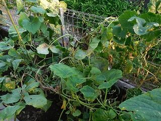 DSCN0141