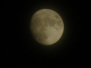 DSCN1179