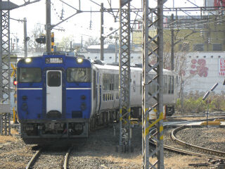 DSCN9981