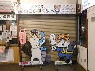 DSCN5228