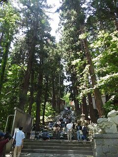 DSCN4427