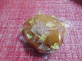 DSCN0451