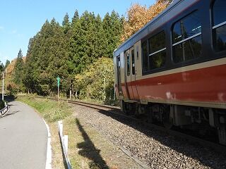 DSCN2529