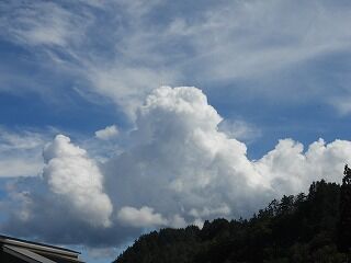 DSCN4748