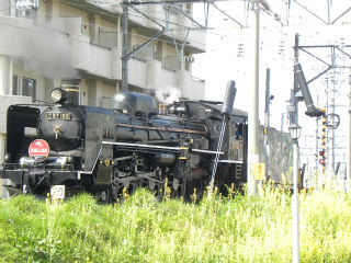 DSCN8039