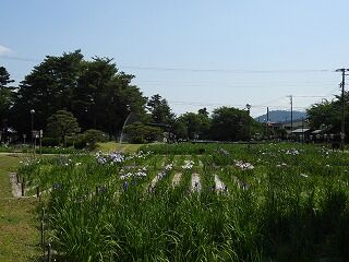 DSCN4411