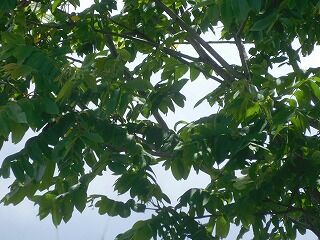 DSCN0891