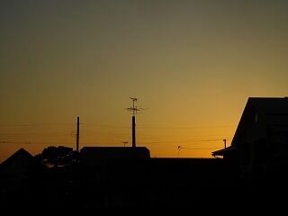 DSCN0577