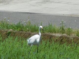 DSCN0852