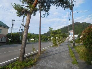 DSCN1340