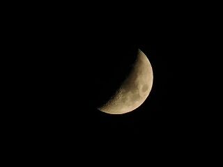 DSCN0446
