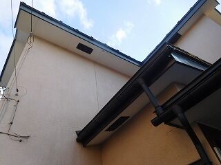 DSCN0499