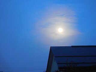 DSCN2281