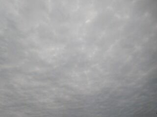 DSCN0823