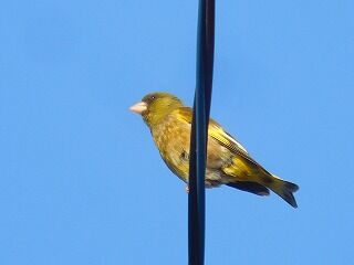 DSCN0588