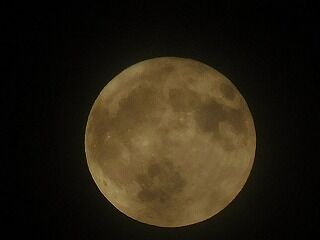 DSCN9797