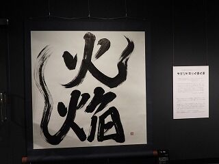 DSCN4135