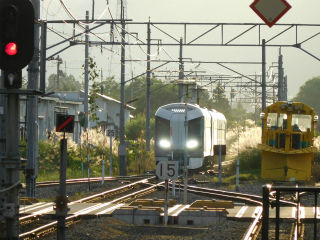 DSCN3882
