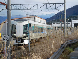DSCN6424