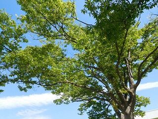 DSCN9791