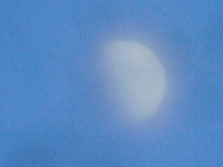 DSCN1132