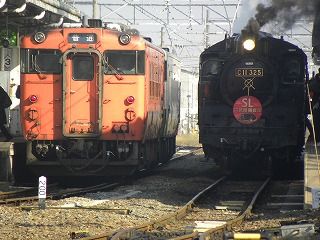 DSCN5268
