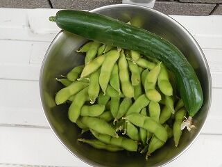 DSCN9719