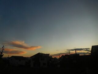 DSCN1547
