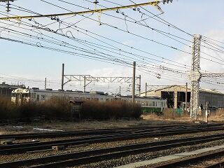 DSCN8733