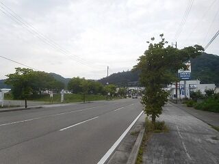 DSCN1334
