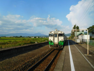 DSCN8678