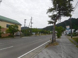 DSCN0819