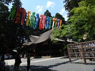 DSCN4428
