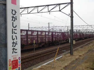 DSCN7147