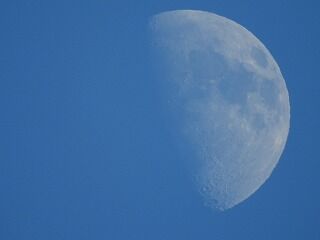 DSCN0407