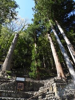 DSCN3935