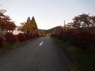 DSCN6623